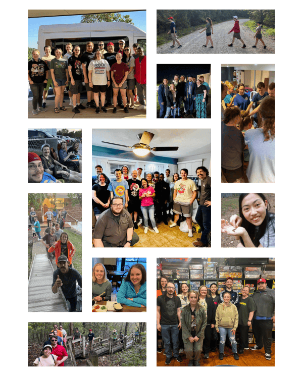 Website Collage(1)